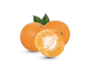 Fresh Orange